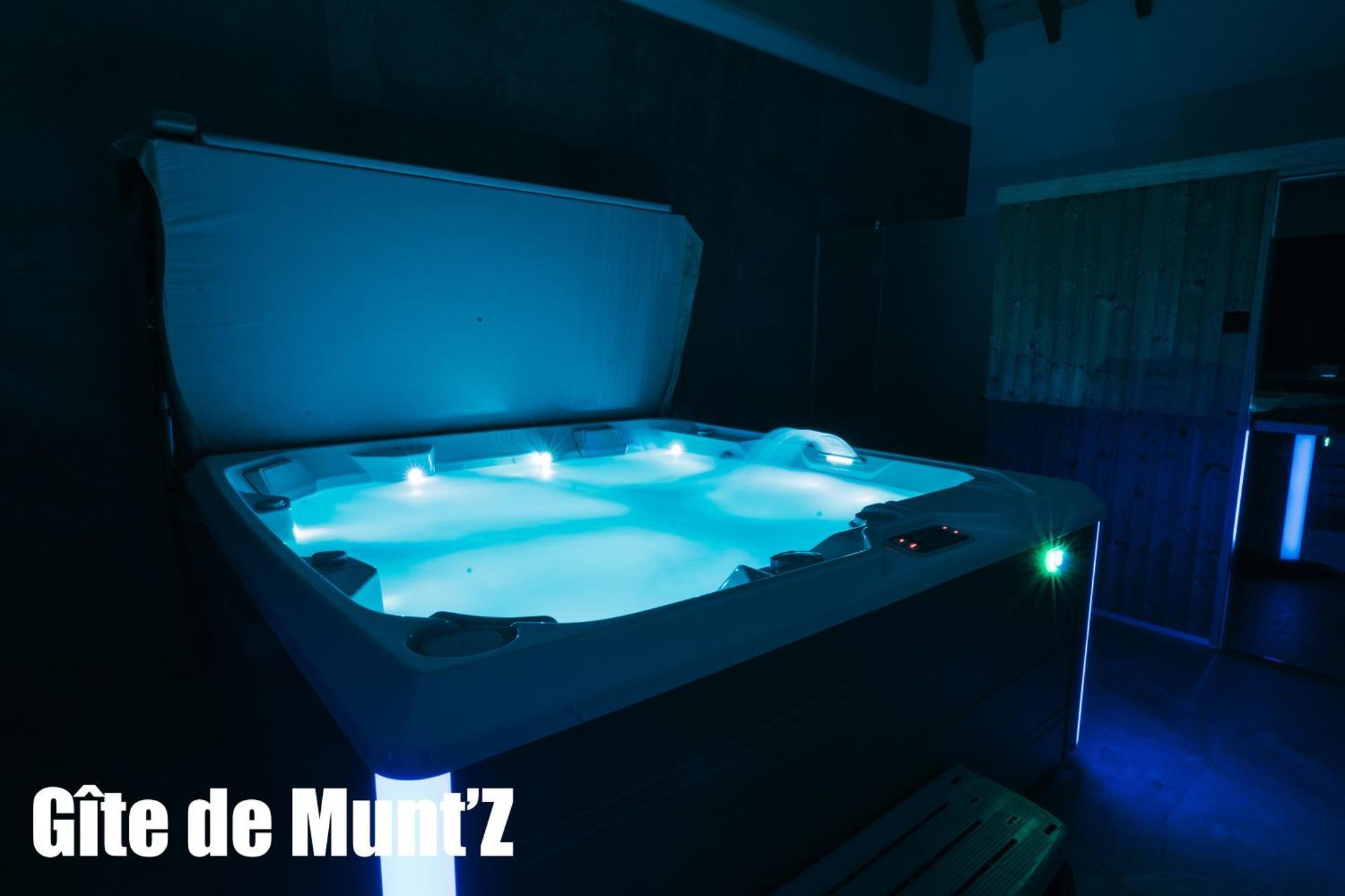 Gite De Munt'Z Spa, Sauna, Piscine, Proche De Colmar Muntzenheim Экстерьер фото